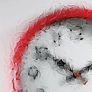 Florielle Glass <span></span>