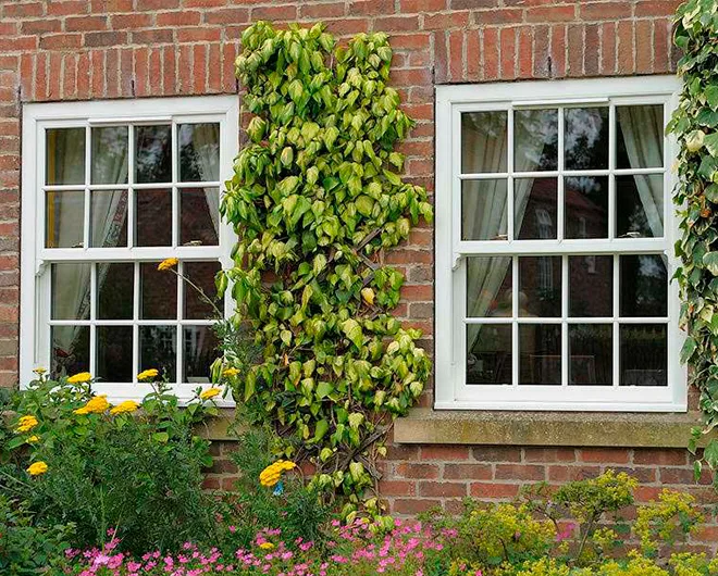 vertical sliding windows Hampshire