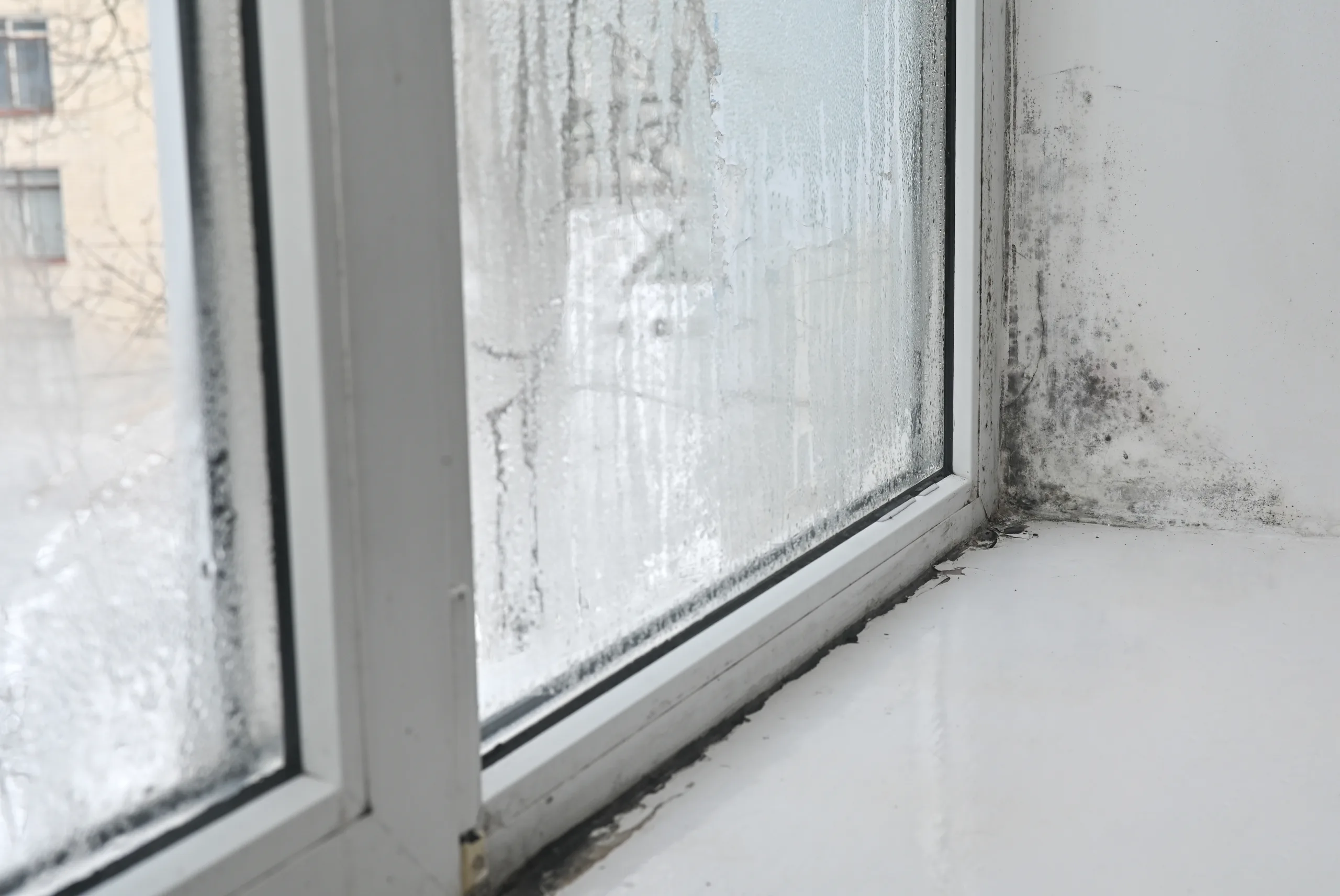 10 Signs It’s Time to Replace Your Windows